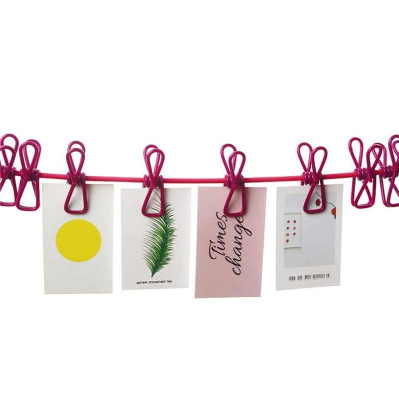 Drying Clothes Line Hanger Steel Rope with 12 Clips NY Store