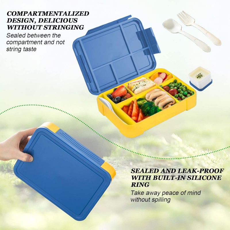 Children's Lunch Box with Compartments, Bento Lunch Box for Adults, Girls and Boys