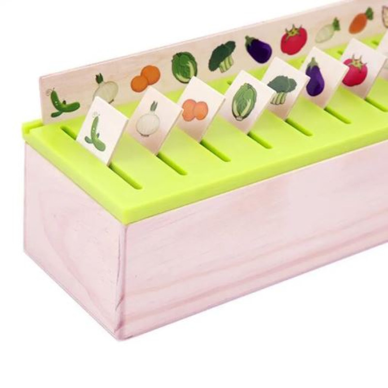 Wooden Knowledge Classification Box - Educational Toys - NY-Store
