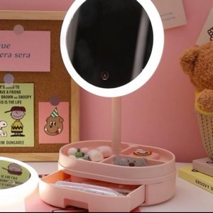 LED Lighted Vanity Mirror Cosmetic & Jewelry Organizer Makeup Mirror with Light Adjustable Angles